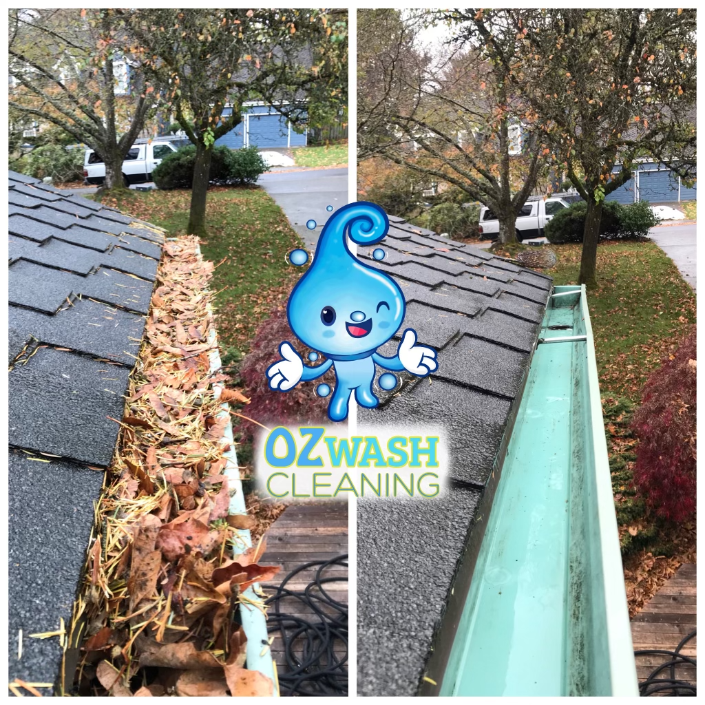 Professional residential gutter cleaning services