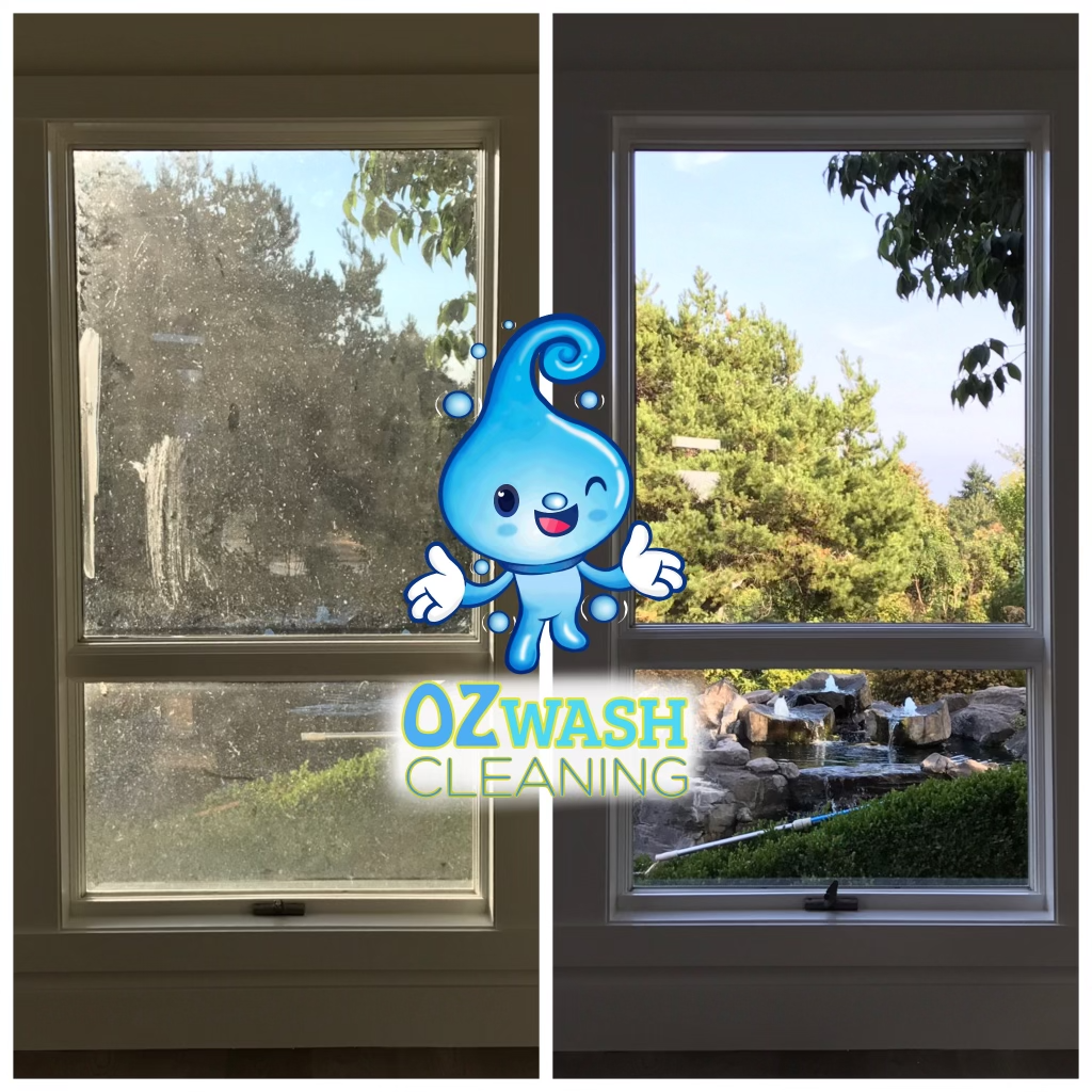 Professional window cleaning services