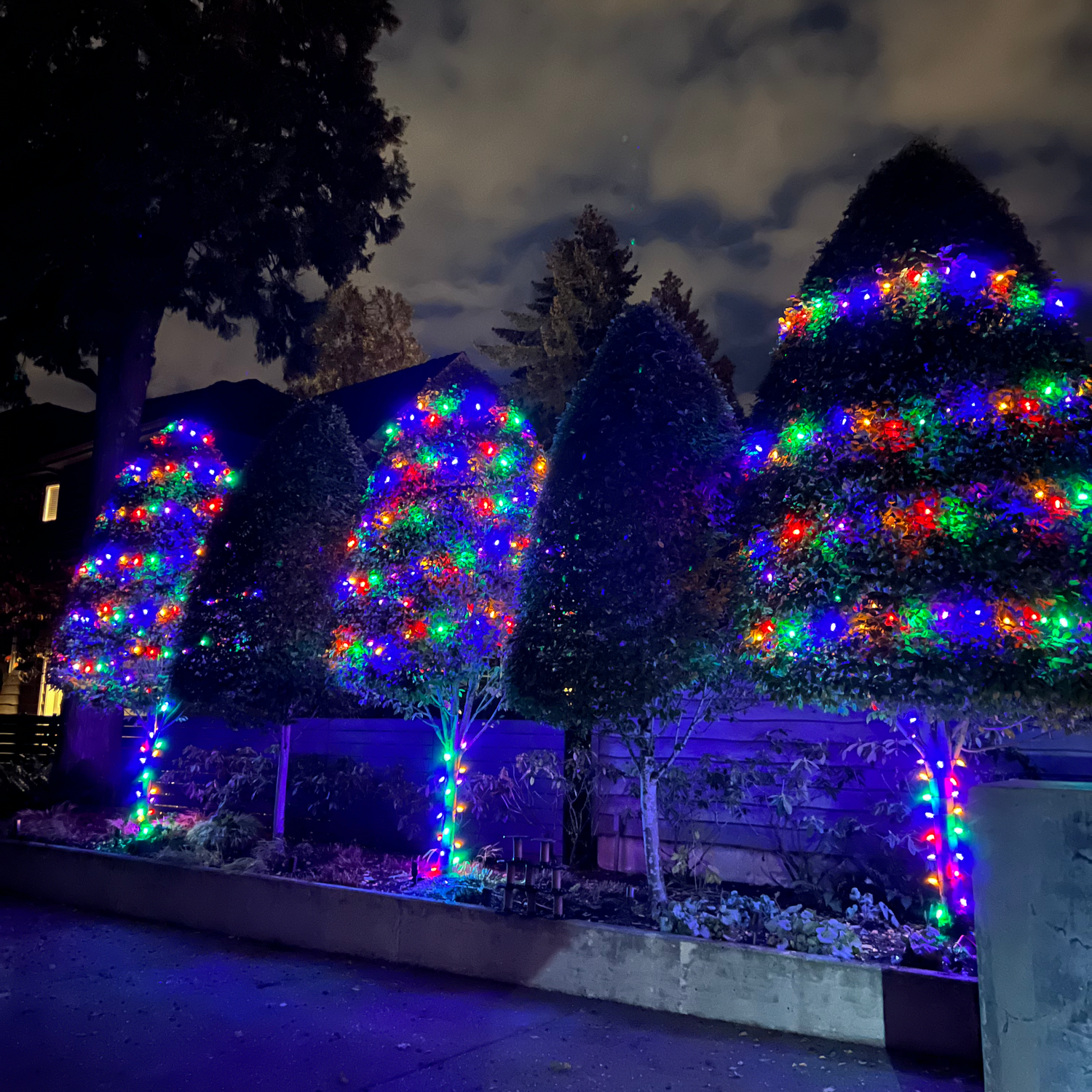 Lake Oswego Tree Lights